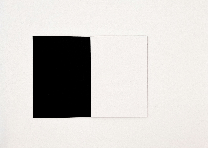 Composición abstracta con rectángulos blanco y negro, estética minimalista y geométrica.