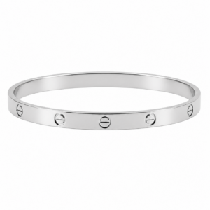 Pulsera Rígida de Plata